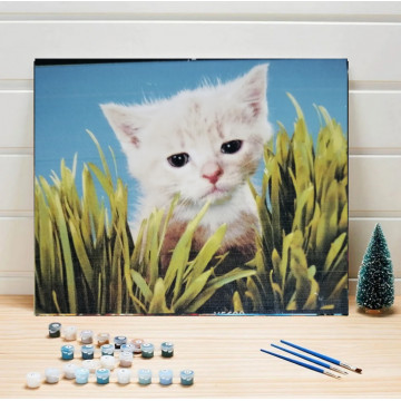 Gatito ✨